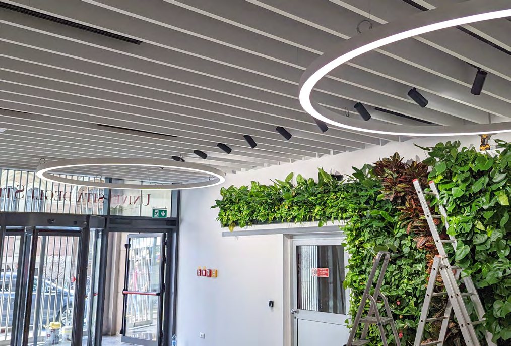 Hall UniPd Padova con controsoffittatura fonoassorbente